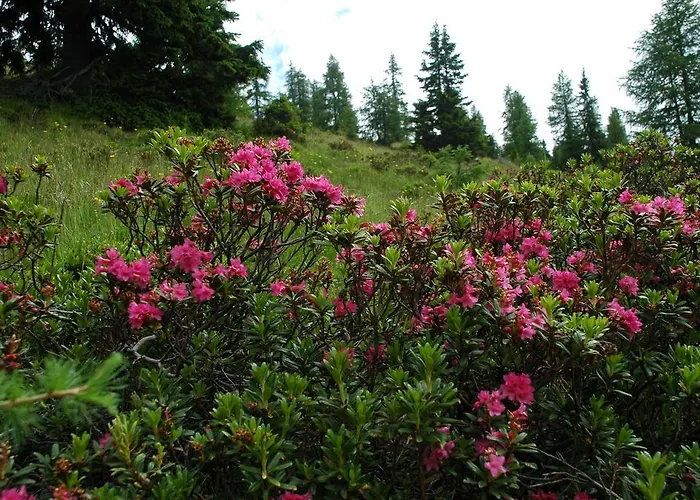 Διαμέρισμα Althoelbling *